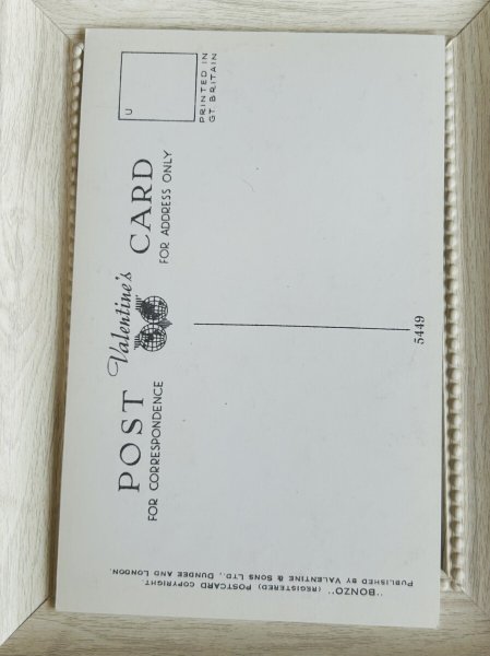 画像2: Postcard　アンティークポストカード　Bonzo 　ボンゾ犬　絵描き（未使用） (2)