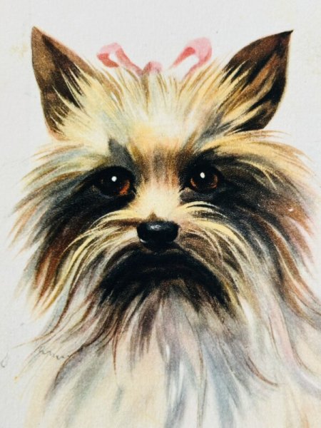 画像2: Postcard　アンティークポストカード　ヨークシャーテリア犬　イタリア (2)