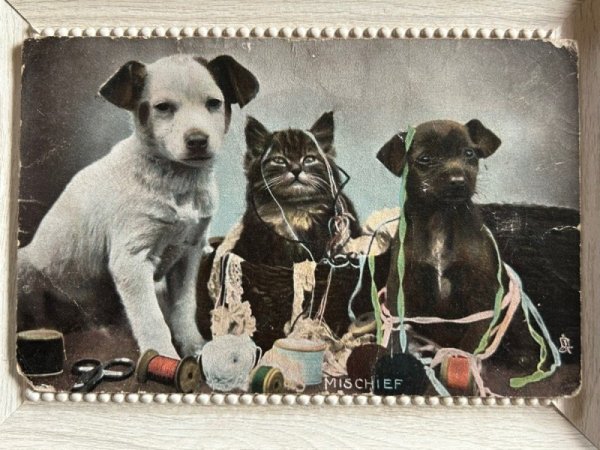 画像1: Postcard  　アンティークポストカード　お裁縫箱と子犬と子猫　イギリス1908年 (1)