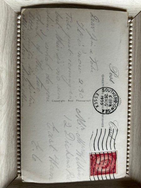 画像2: Postcard　アンティークポストカード　犬のウエイターさんと猫のお客さん　カフェ　写真　イギリス1955年 (2)