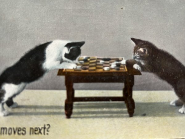 画像2: Postcard　アンティークポストカード　ボードゲームをする猫たち　チェス　オセロ (2)
