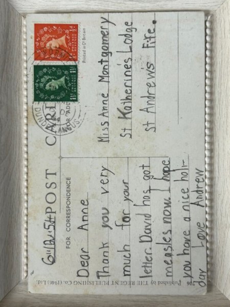 画像2: Postcard   アンティークポストカード Good Luck 黒猫 イギリス 1954年 (2)