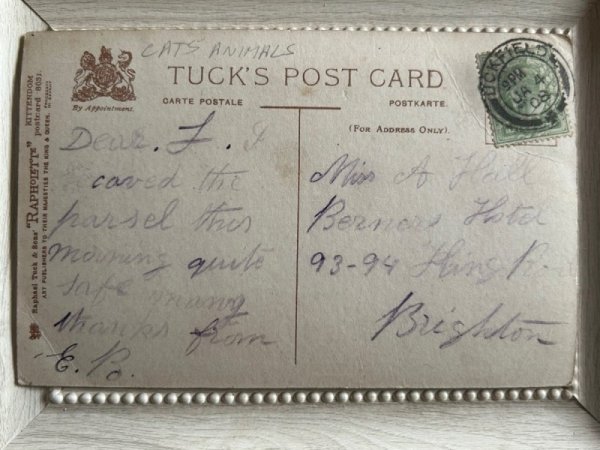 画像4: Postcard　アンティークポストカード　猫のディナーパーティ　お食事会　Dinnrt Party　イギリス1908年　 (4)