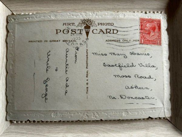 画像3: Postcard　アンティークポストカード　バスケットの中の子猫たち　長毛　イギリス1935年 (3)