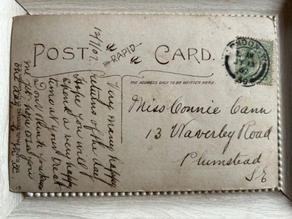画像2: Postcard   アンティークポストカード 猫 シープドッグ テリア 犬 イギリス1907年 (2)