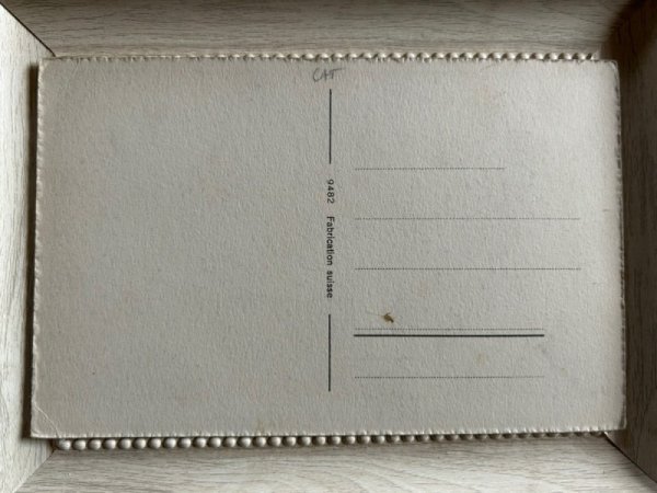 画像2: Postcard アンティークポストカード お絵描きをする子猫 スイス (未使用) (2)