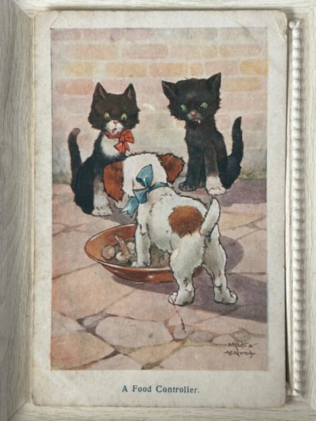 画像1: Postcard  　アンティークポストカード　フードを守る犬を見ている黒猫　Mcnight & A.E.Kennedy (1)
