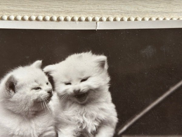 小さな破れあり