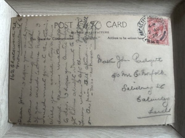 画像3: Postcard アンティークポストカード 猫とバイオリン ハーモニー 写真 (3)