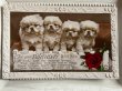 画像1: Postcard  　アンティークポストカード　ペキニーズの子犬たち　イギリス1937年　写真 (1)