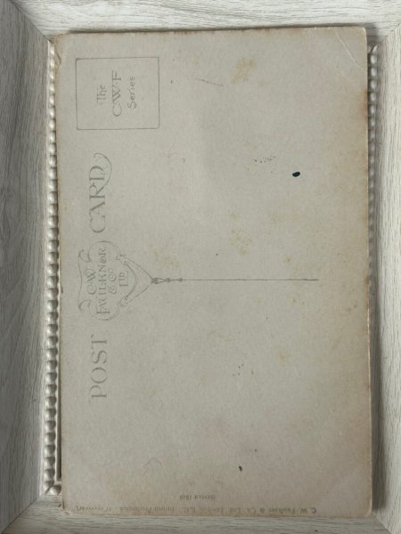 画像4: Postcard   アンティークポストカード フードを守る犬を見ている黒猫 Mcnight & A.E.Kennedy (4)