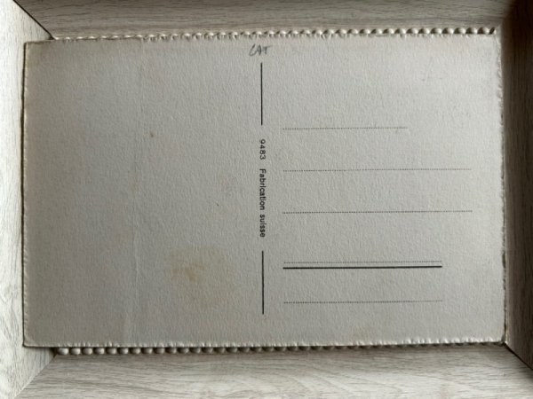 画像2: Postcard アンティークポストカード ジンジャークッキーを作る猫 スイス (未使用) (2)