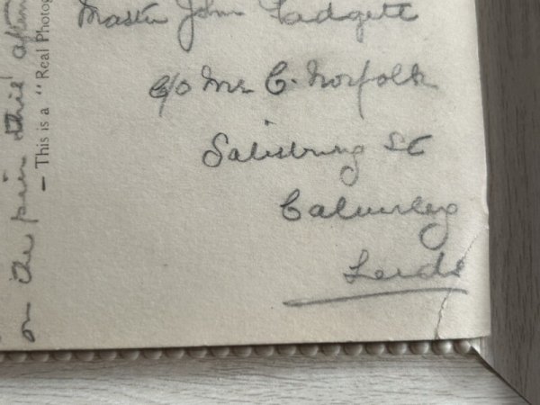 画像2: Postcard アンティークポストカード 猫とバイオリン ハーモニー 写真 (2)