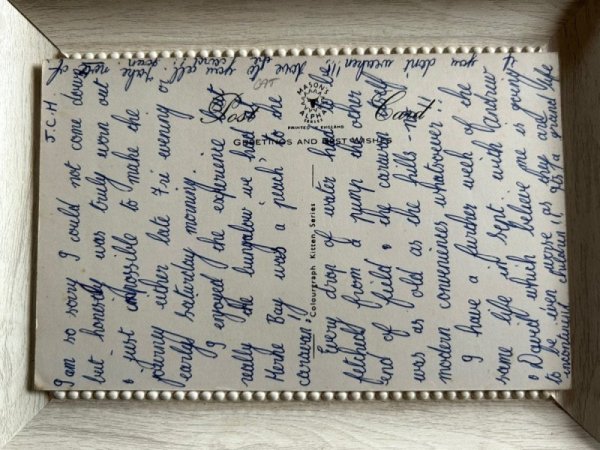 画像2: Postcard　アンティークポストカード　病気の猫を看病する猫　イギリス (2)