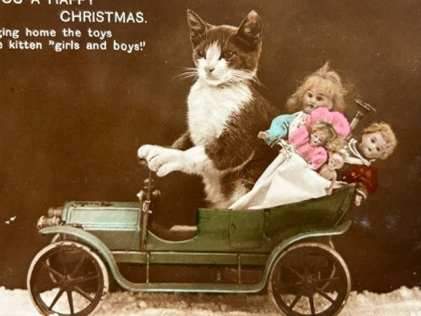 画像2: Postcard　アンティークポストカード　車に乗る猫とお人形　写真　イギリス (2)