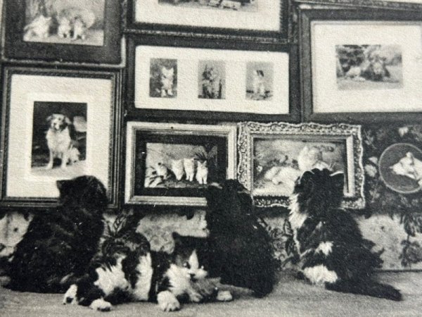 画像2: Postcard　アンティークポストカード　ロンドン猫の勉強　ギャラリーで絵画鑑賞中の猫達たち　イギリス1906年 (2)