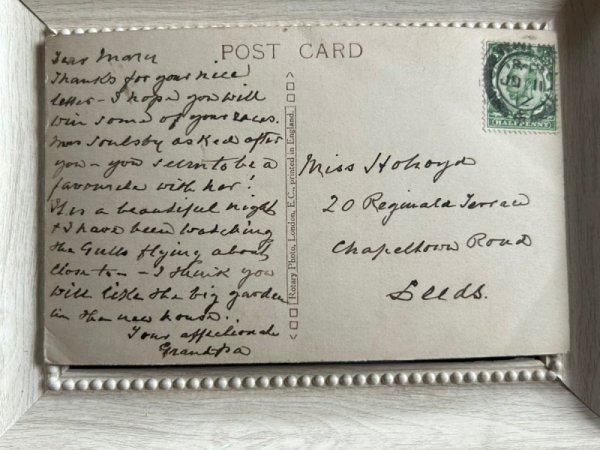 画像2: Postcard   アンティークポストカード スピッツ犬 アメリカン・エスキモー 写真 イギリス1912年 (2)