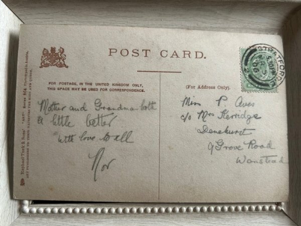 画像3: Postcard　アンティークポストカード　ロンドン猫の勉強　ギャラリーで絵画鑑賞中の猫達たち　イギリス1906年 (3)