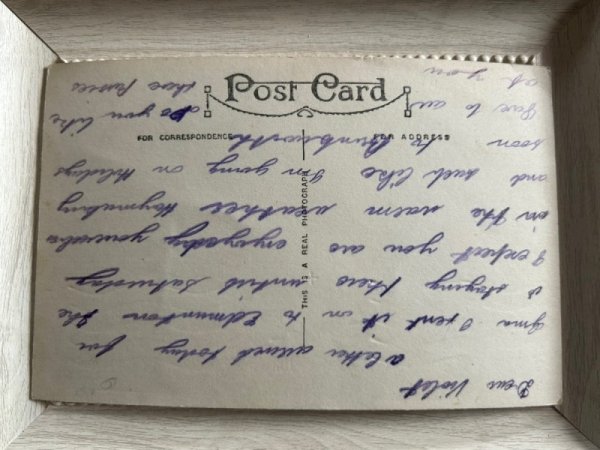 画像2: Postcard　アンティークポストカード　お洗濯をする猫の親子　お人形　写真 (2)