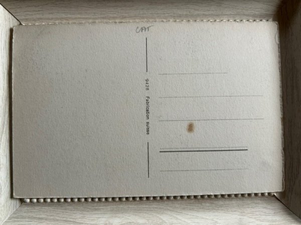 画像2: Postcard アンティークポストカード 魚釣りをする子猫たち スイス (未使用) (2)