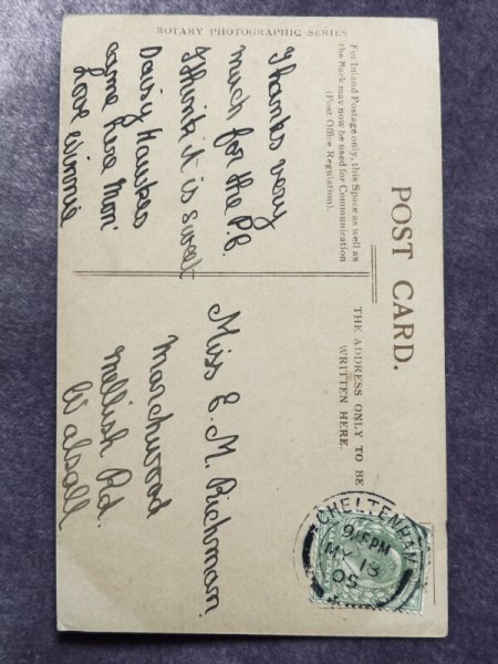 画像2: Postcard　アンティークポストカード　2匹の長毛の子猫　本　写真　イギリス1905年 (2)