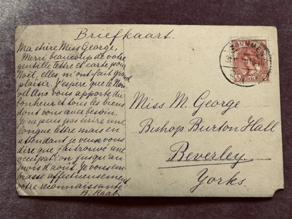 画像4: Postcard　アンティークポストカード　バスケットの中の子猫たち　オランダ (4)