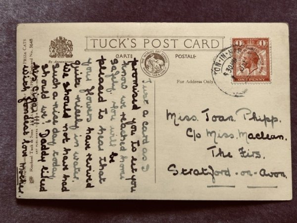 画像2: Postcard　アンティークポストカード　猫　イギリス (2)