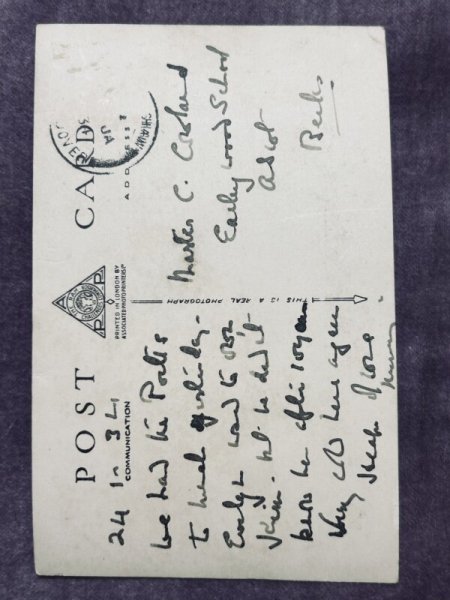 画像2: Postcard　アンティークポストカード　子猫　写真　イギリス (2)