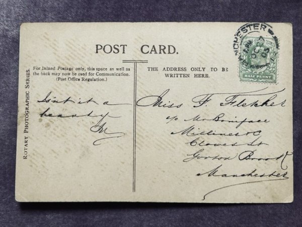 画像2: Postcard アンティークポストカード 長毛猫 写真 イギリス (2)