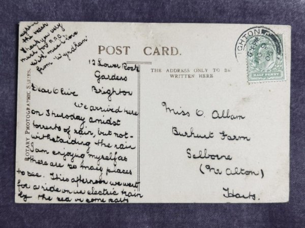 画像2: Postcard　アンティークポストカード　籠の中の黒猫　写真　イギリス1906年 (2)