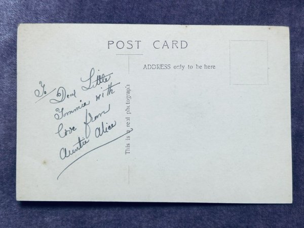 画像3: Postcard　アンティークポストカード　青い瞳の長毛猫　写真　イギリス (3)