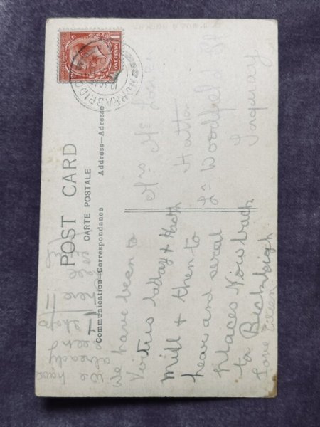 画像2: Postcard アンティークポストカード バスケットと4匹の子猫 イギリス1920年 (2)