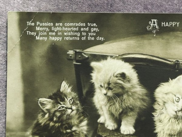 画像2: Postcard アンティークポストカード 鞄と子猫たち 写真 イギリス1914年 (2)