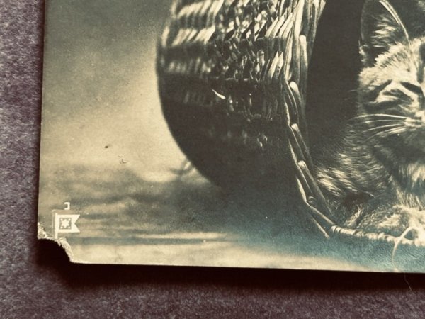 画像3: Postcard　アンティークポストカード　バスケットの中の子猫たち　オランダ (3)
