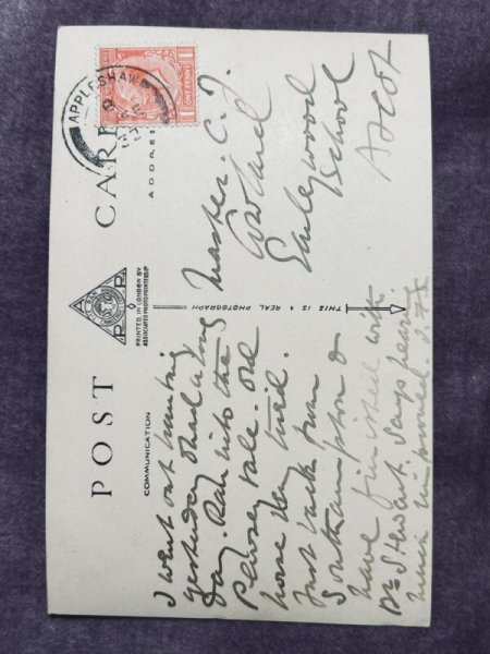 画像2: Postcard　アンティークポストカード　ケージの中の子猫　写真　イギリス (2)