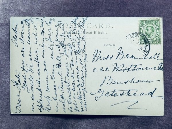画像2: Postcard アンティークポストカード 白い長毛猫 写真 イギリス (2)