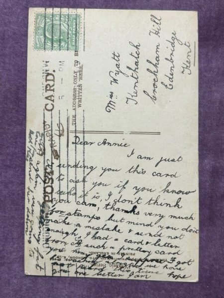 画像2: Postcard　アンティークポストカード　長毛猫　イギリス (2)