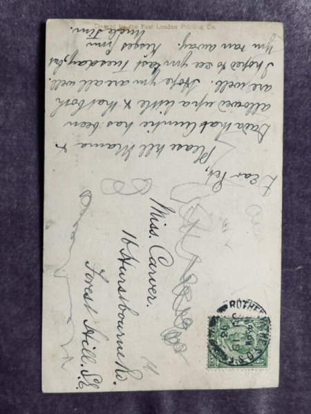 画像3: Postcard アンティークポストカード 長毛子猫とティーカップ 写真 イギリス1913年 (3)