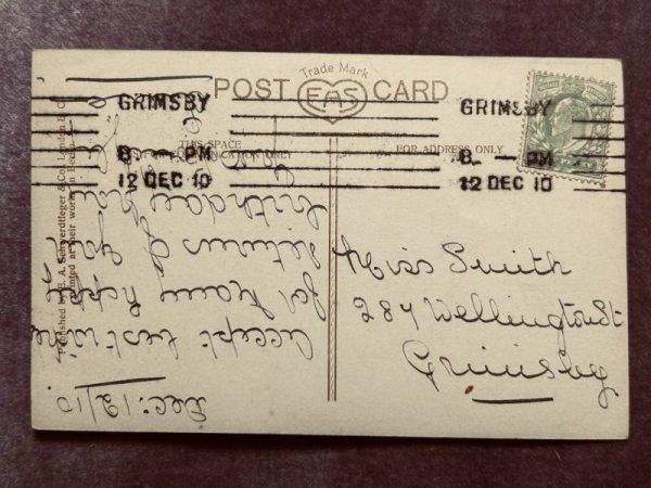 画像2: Postcard　アンティークポストカード　3匹の長毛の子猫　本　写真　 (2)