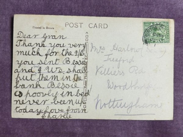 画像2: Postcard　アンティークポストカード　2匹の子猫　長毛　イギリス (2)