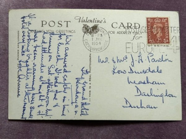 画像2: Postcard　アンティークポストカード　Good Lock From Llandudno 長毛黒猫　イギリス1954年　写真 (2)