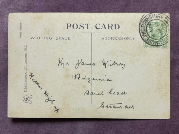 画像2: Postcard アンティークポストカード 子猫 写真 イギリス1909年 (2)