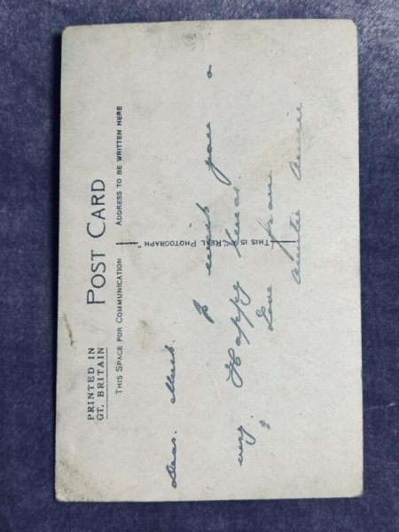 画像2: Postcard　アンティークポストカード　3匹の長毛の子猫　本　写真　 (2)