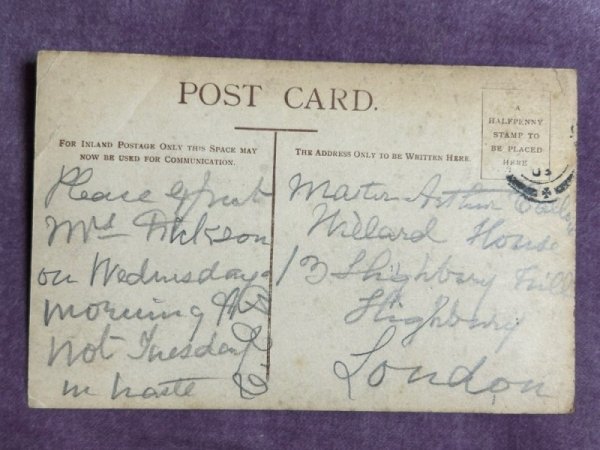 画像2: Postcard　アンティークポストカード　3匹の長毛の子猫　写真　 (2)