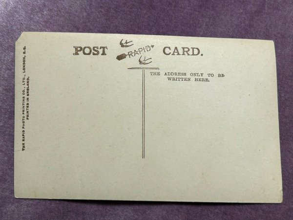 画像3: Postcard アンティークポストカード 空き缶と子猫 写真  イギリス (未使用) (3)