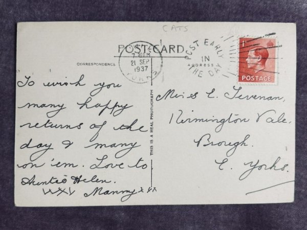 画像2: Postcard　アンティークポストカード　3匹の子猫　長毛　イギリス1937年 (2)