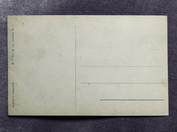 画像3: Postcard　アンティークポストカード　2匹の子猫　写真　（未使用） (3)