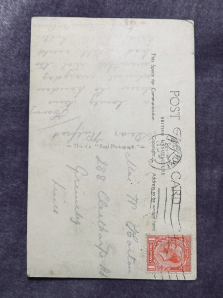 画像2: Postcard アンティークポストカード 子猫 長毛 (2)