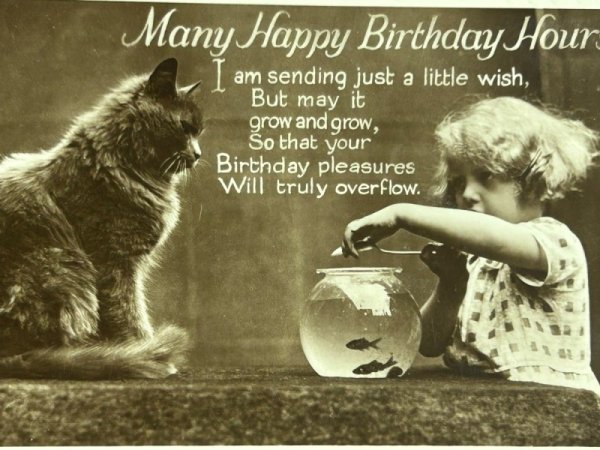 画像2: Postcard アンティークポストカード 金魚鉢と女の子と猫 写真 イギリス1934年 (2)