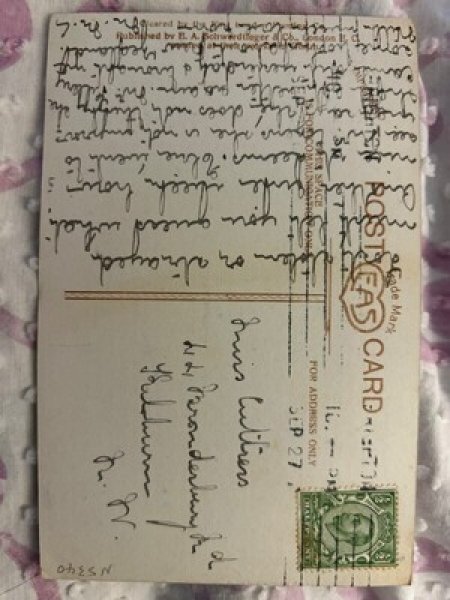 画像3: Postcard　アンティークポストカード　パグ犬と長毛の猫　写真　イギリス (3)